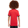 Koszulka dla dzieci Nike Dri-Fit Academy 25 SS czerwona FZ9758 657